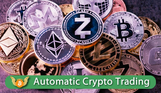 auto crypto trading