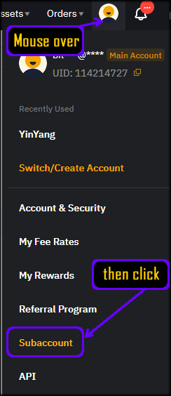 ByBit Subaccount Access